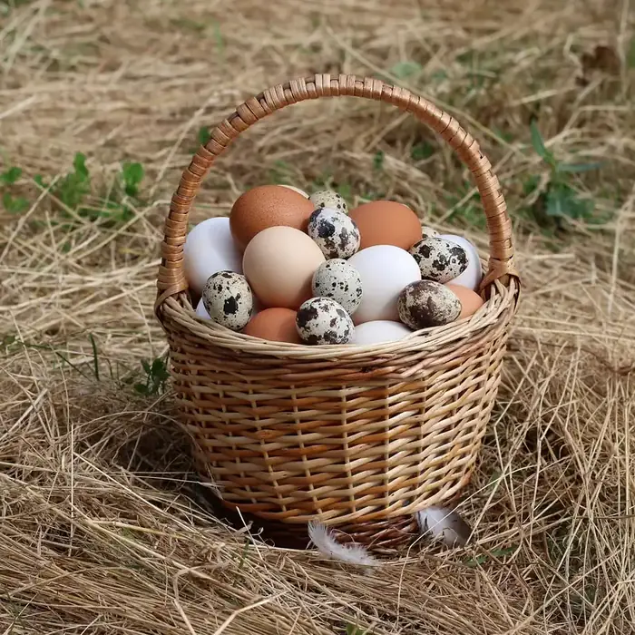 Desi Eggs